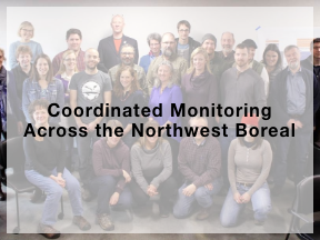 Coordinated Monitoring Across the Northwest Boreal