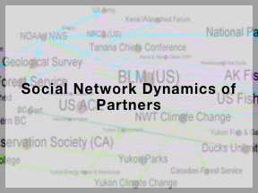 Social Network Dynamics of Partners