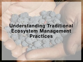 Understanding Traditional Ecosystem Management Practices