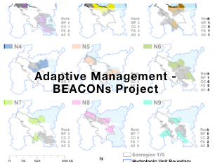 Adaptive Management - BEACONs Project