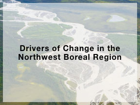Drivers of Change in the Northwest Boreal Region